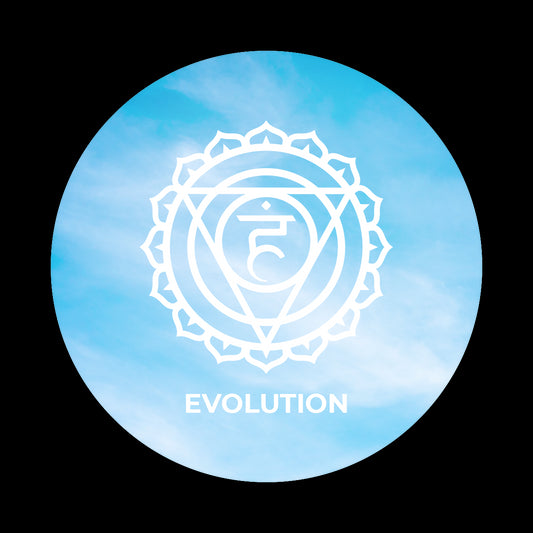Evolution - 5° Chakra