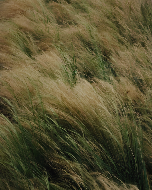 L’Ayurveda : retrouver l’équilibre au quotidien