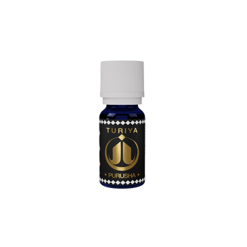 Synergie Purusha
