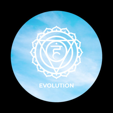 Evolution - 5° Chakra