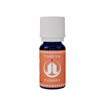 Synergie Udara