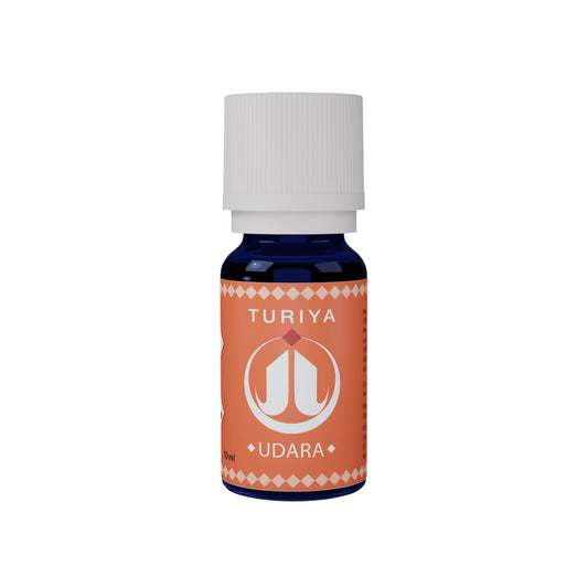 Synergie Udara