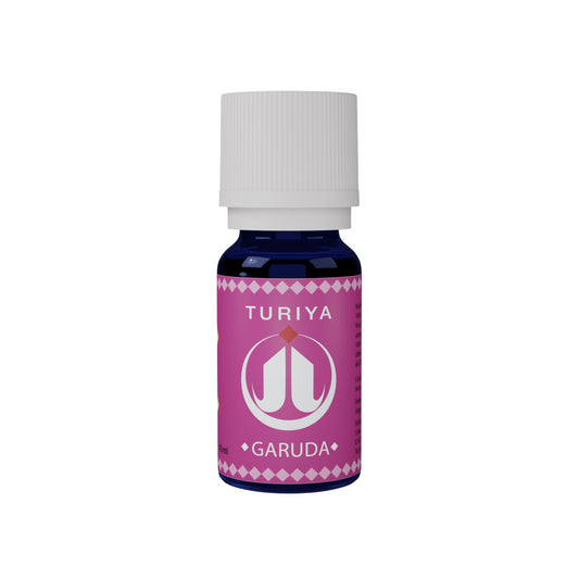 Synergie Garuda